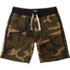 Billabong All Day In Camo (Cmm) Shorts -Casual Fashion Shop HS1614637264